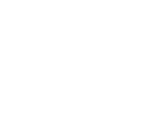 zuplaw Z logo